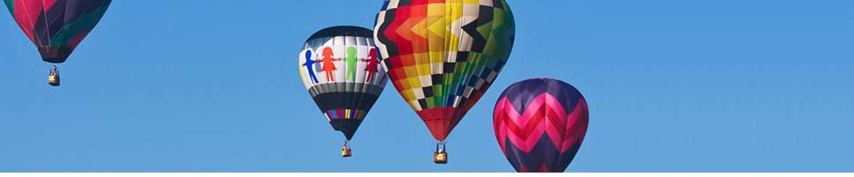 live173冷凍溶脂s383